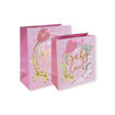 Picture of BABY GIRL GIFT BAG